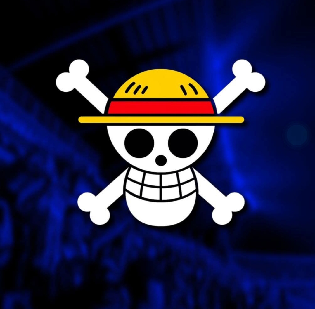 Viral! Ketua Ormas P-PKP Bongkar Makna Sebenarnya di Balik Bendera One piece